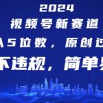 2024年视频号赚钱新机遇！轻松月入过万，原创快速过审，搬运也能合规，揭秘简单易学的暴利玩法！