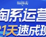 21天实战速成！2024年最新淘系运营秘籍，零基础小白也能轻松上手，告别虚假套路！