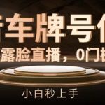 抖音车牌号估值轻松赚钱攻略：匿名直播无门槛，新手也能快速掌握【独家揭秘】