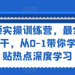 短视频实战训练营：全方位揭秘IP打造秘诀，从新手到高手，紧跟热点深度教学！