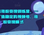 视频号快速涨粉秘籍！打造高收益变现机器，一站式掌握稳定赚钱攻略！
