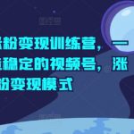 视频号快速涨粉秘籍！打造高收益变现机器，一站式掌握稳定赚钱攻略！