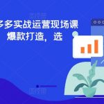 2024年7月拼多多运营秘籍现场揭秘！实战教学，打造爆款选品策略，掌握最新规则，快速提升销量！