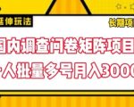 揭秘：国内独家调查问卷矩阵项目，单兵作战也能月入3000+，轻松实现批量多号盈利！