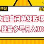 揭秘：国内独家调查问卷矩阵项目，单兵作战也能月入3000+，轻松实现批量多号盈利！