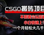 CSGO装备搬运攻略：无需游戏经验，新手快速盈利，月入数千不是梦【独家揭秘】