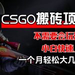 CSGO装备搬运攻略：无需游戏经验，新手快速盈利，月入数千不是梦【独家揭秘】