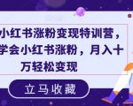 19天小红书粉丝暴涨实战秘籍，掌握涨粉绝技，轻松月入十万不是梦！