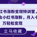 19天小红书粉丝暴涨实战秘籍，掌握涨粉绝技，轻松月入十万不是梦！