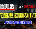 揭秘：轻松搬运国内热门小说，月赚2500+美金，新手快速变现赚钱攻略！