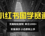 揭秘国学赛道新玩法：小红书轻松复制粘贴，日入千元实操教程，新手速成必看！