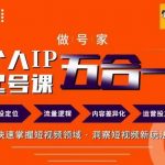短视频爆红秘籍：打造个人IP独门绝技，68节实战课程助你快速占领短视频高地！