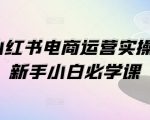 1V1独家揭秘小红书电商运营实操秘籍，零基础新手逆袭成高手必看课程！