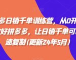 拼多多实战秘籍：0基础打造日销千单爆款，轻松复制成功经验（2024年最新更新）