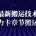短剧搬运秘技大揭秘！抖音爆款章节搬运攻略，轻松上手流量翻倍！