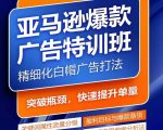 亚马逊热销神技特训营！揭秘快速构建关键词库秘籍，广告优化一步到位，销量翻倍不是梦！