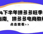 2024年下半年拼多多爆单攻略：电商运营必看教程，业绩翻倍秘籍！