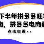 2024年下半年拼多多爆单攻略：电商运营必看教程，业绩翻倍秘籍！