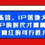 超级IP训练营震撼开启！掌握IP落地秘籍，开启个人IP黄金时代，揭秘素人逆袭网红的成功之道！