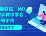 视频号直播带货从零到精通：手把手教程，快速掌握直播赚钱秘诀