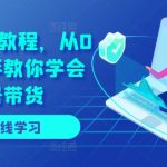 视频号直播带货从零到精通：手把手教程，快速掌握直播赚钱秘诀