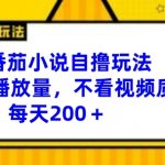 番茄小说独家赚钱攻略，无视播放量与视频品质，日入200+，揭秘内部赚钱秘诀！