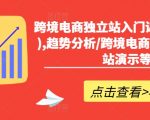 跨境电商独立站速成攻略：2小时掌握精髓，趋势揭秘+前世今生剖析+建站实操演示！