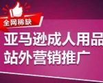 亚马逊成人用品站外营销秘籍：独家攻略助你引爆流量，轻松开启爆单之旅
