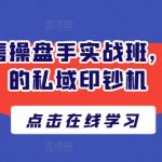 打造你的私域印钞机：操盘手实战班，让私域流量变现无上限