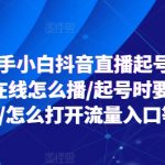 2024抖音直播新手指南：零基础小白如何快速起号，直播个位数在线也能火爆全场！是否需要付费，流量入口如何开启？