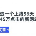 打造新网站56天轻松赢得45万点击量的终极秘诀