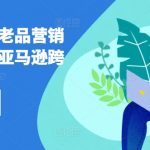 亚马逊营销攻略全面解析：新品的秘密推广策略与老品的再创辉煌，跨境电商终极教程