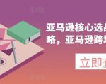 亚马逊终极选品指南：掌握核心推广策略，轻松玩转跨境电商