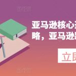 亚马逊终极选品指南：掌握核心推广策略，轻松玩转跨境电商