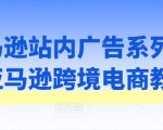 亚马逊广告系列课程：掌握跨境电商致胜策略