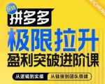 拼多多终极盈利攻略：算法解码、玩法精通、团队构建全解析，助力商家利润飞速飙升