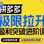 拼多多终极盈利攻略：算法解码、玩法精通、团队构建全解析，助力商家利润飞速飙升