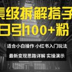 像素级拆解独家引流技巧，日增粉100+，新手速成攻略，揭秘最新快速变现内幕！