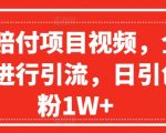 火爆赔付项目揭秘视频！全网平台狂揽流量，日赚创业粉超1W+，点击揭秘惊人内幕！