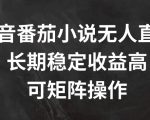 抖音番茄小说无人直播攻略，轻松实现长期稳定高收益，独家矩阵操作秘籍大公开！