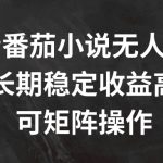 抖音番茄小说无人直播攻略，轻松实现长期稳定高收益，独家矩阵操作秘籍大公开！
