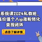 2024年独家个人IP打造秘籍！一节课掌握涨粉转化变现全攻略，成为顶流网红不是梦！