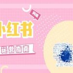 小红书运营秘籍：实战经验分享，告别套路，打造爆文只需这一篇！