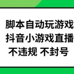 揭秘：全自动脚本玩游戏，抖音小游戏直播赚钱攻略，安全不封号，批量操作也能行！