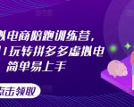 拼多多虚拟电商速成攻略：0基础小白也能轻松月入过万，独家陪跑训练营全新升级！