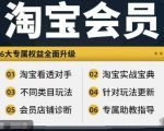 淘宝课程大揭秘：从新手到高手，全方位解析竞争对手，打造终极实战攻略！