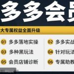 拼多多会员专属攻略：实战宝典+落地实操，新手变高手，全面掌握高阶内容！