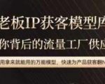 老板揭秘：极简操作实现IP流量最大化，一键复制万能模型，让你的产品客户翻N倍！