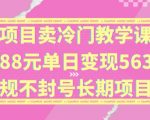 独家揭秘：冷门教学课程日入5632元，88元一单，长期稳定不封号，赚钱秘籍大公开！