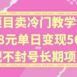 独家揭秘：冷门教学课程日入5632元，88元一单，长期稳定不封号，赚钱秘籍大公开！